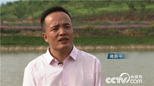 [致富经]只吃草的鱼 出锅像猫余 让他年赚600万 20181022 