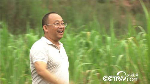 [致富经]父亲一句话 孝子千万财 20181024 