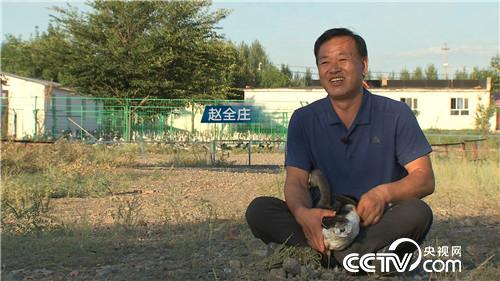 [致富经]骑马放鹅 让财富飞起来 20181029 