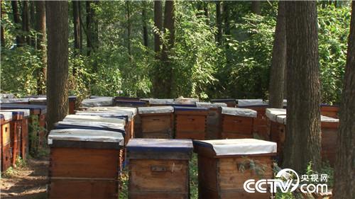 [致富经]他让财富自己钻进瓶子里 20181030 