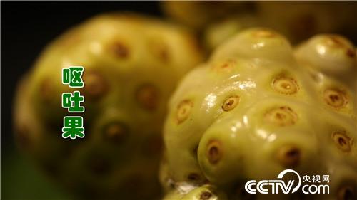 [致富经]臭美小伙子 臭果发大财 20181114 