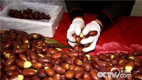 [致富经]白了头发 红了财富 他把黄沙变黄金 20181119 