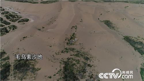 [致富经]白了头发 红了财富 他把黄沙变黄金 20181119 