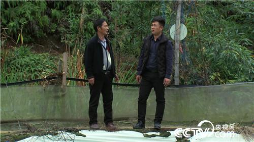 [致富经]2万元2亩地 父子闹崩后迎来千万财 20181121 