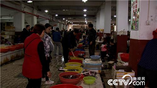 [致富经]2万元2亩地 父子闹崩后迎来千万财 20181121 