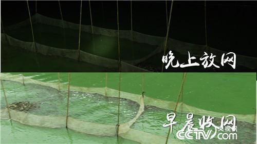 [致富经]2万元2亩地 父子闹崩后迎来千万财 20181121 